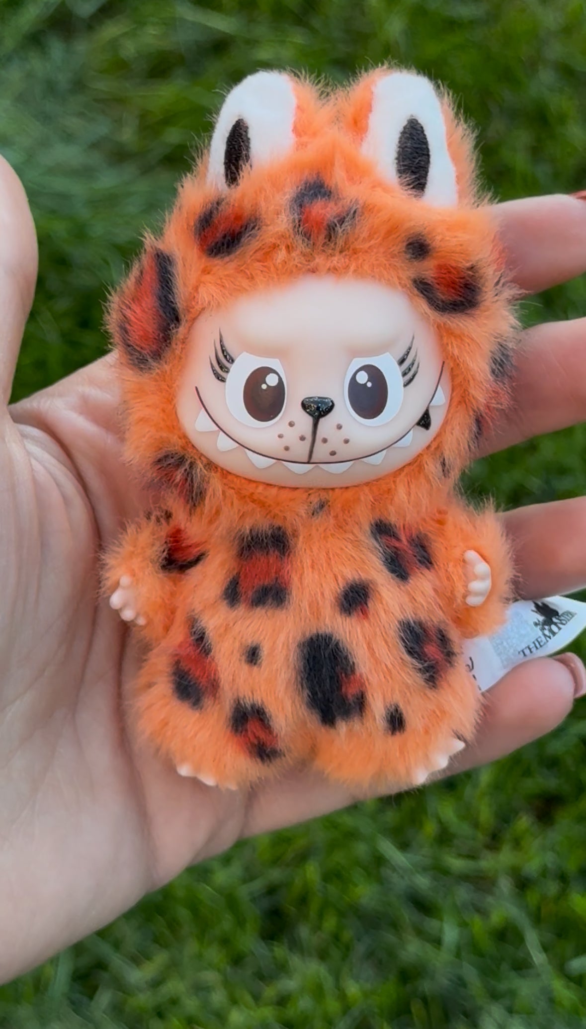 Mini Cheetah Girlz - Letter Z