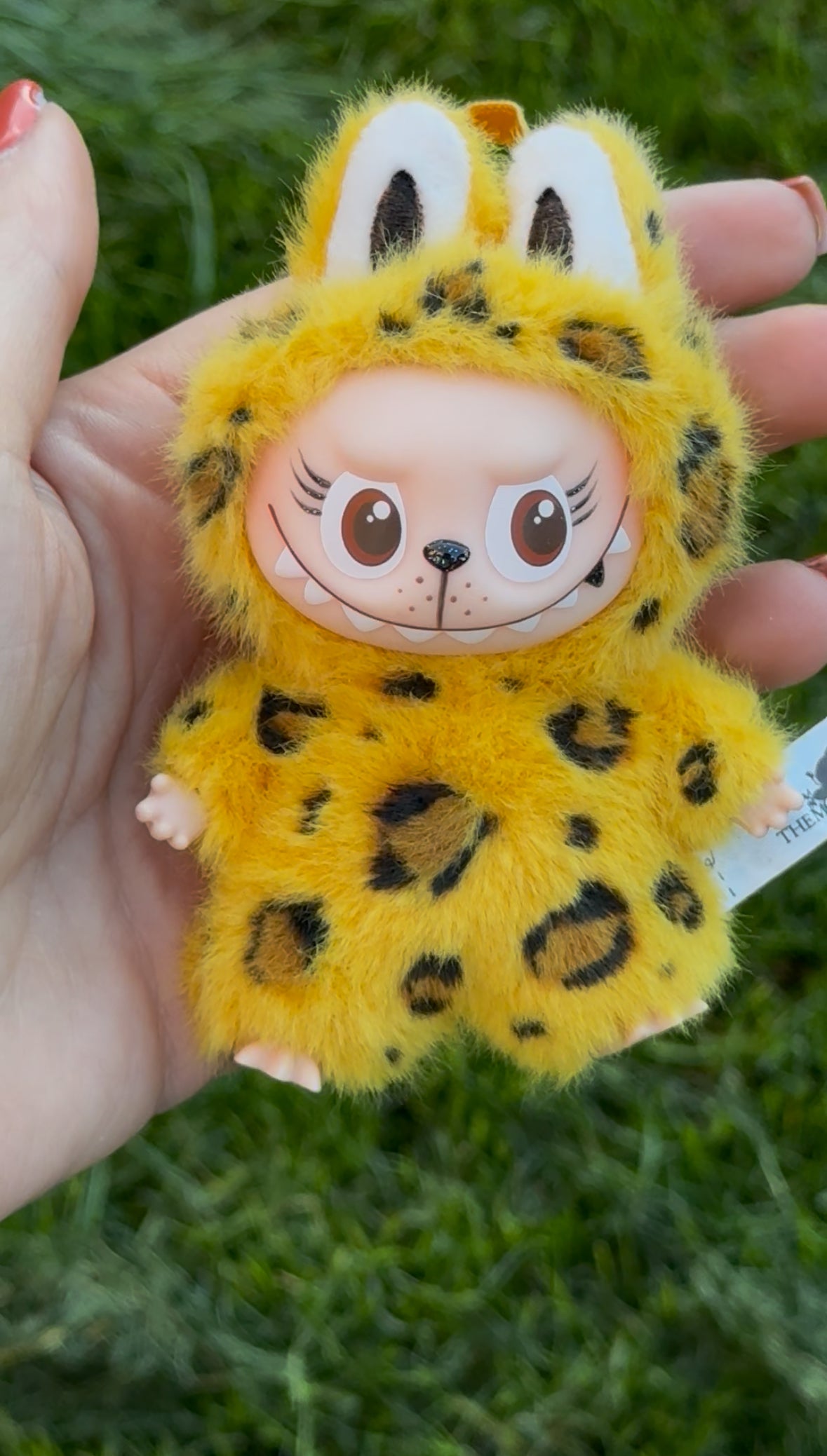 Mini Cheetah Girlz - Letter Y