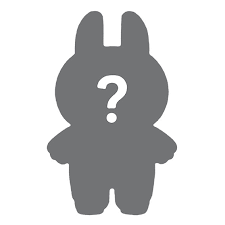 A £5 Ticket for the Mystery Box Raffle